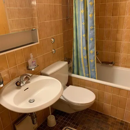 Roc D'orsay E52 Лейсен